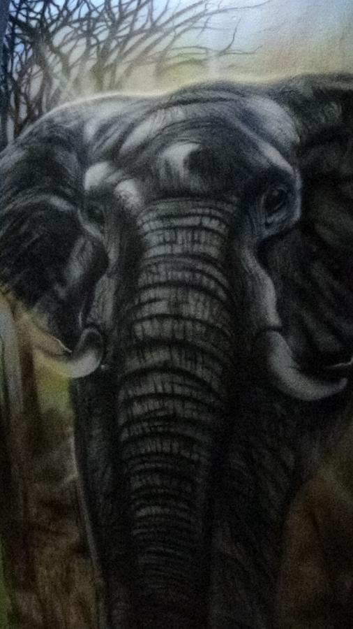 Pousada Encanto E Magia São Tomé das Letras Esterno foto